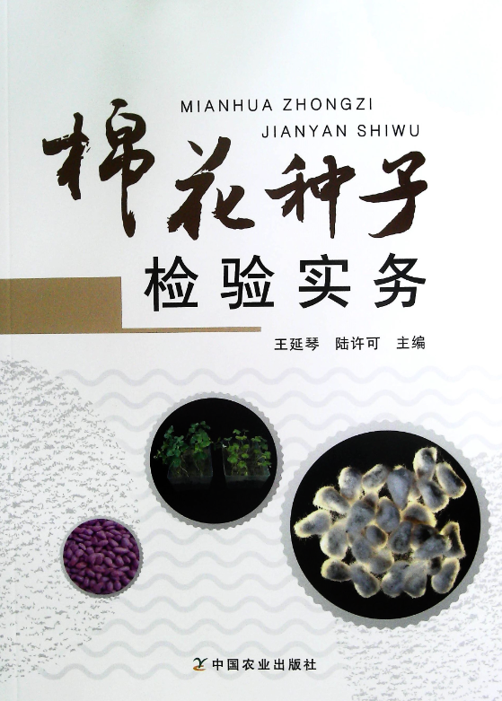 棉花种子检测实物.png