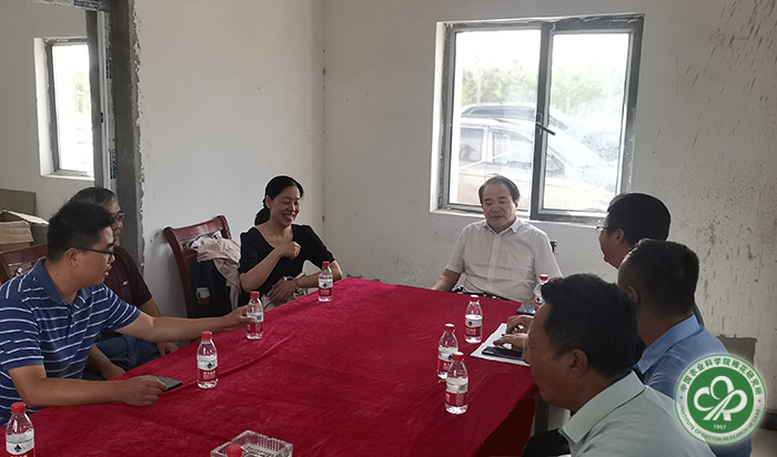 召开现场办公会-小.jpg