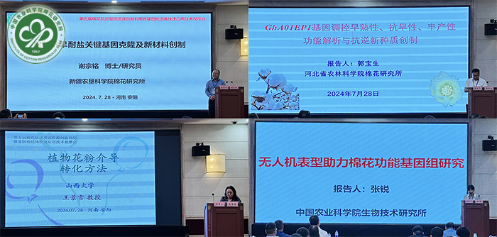 专家报告xiu.jpg