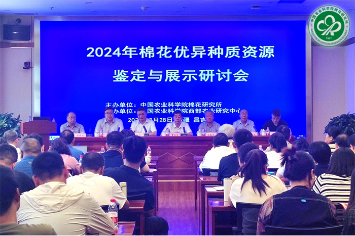 研讨会现场xiu.jpg