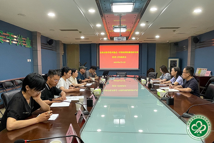 座谈交流会现场XIU.jpg