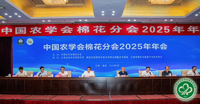 2.开幕式xiu.jpg