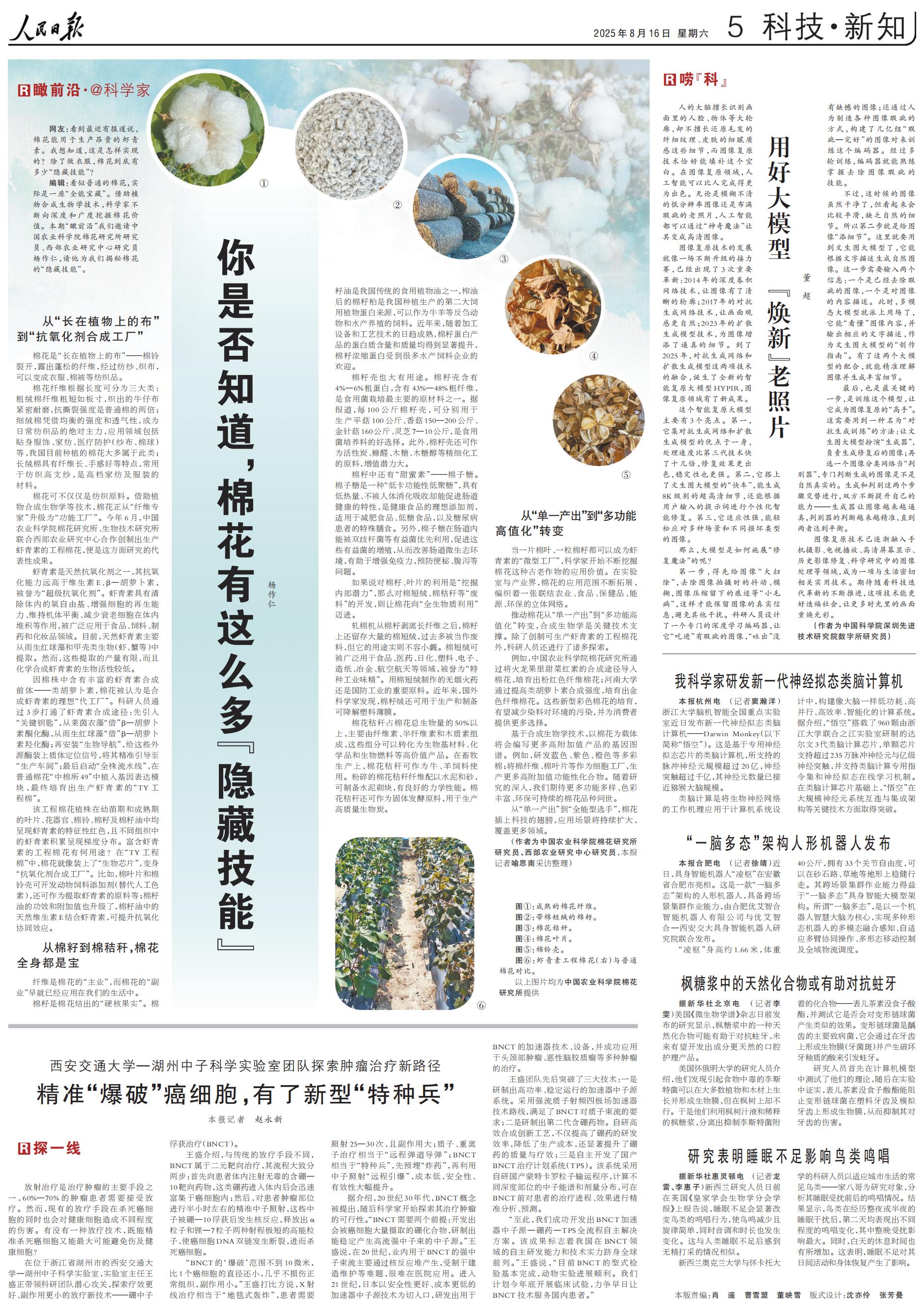 版面1.jpg