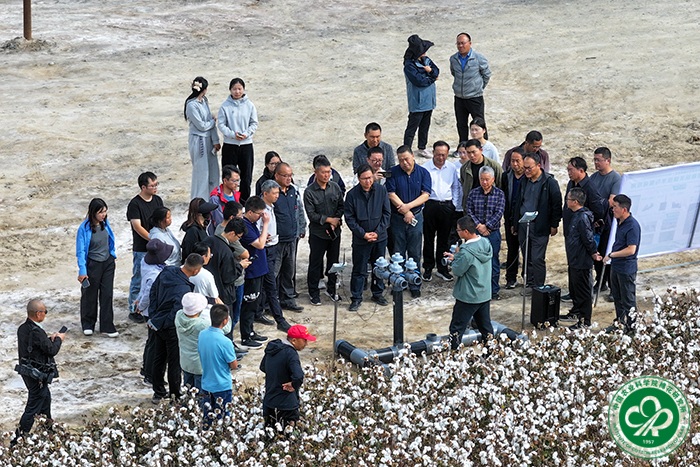 观摩会现场xiu.jpg
