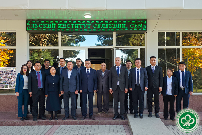 图片3备用xiu.jpg