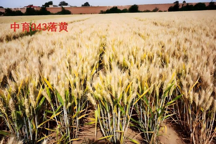 WPS图片(1)(1).jpg