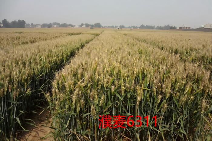 WPS图片(1)(1).jpg