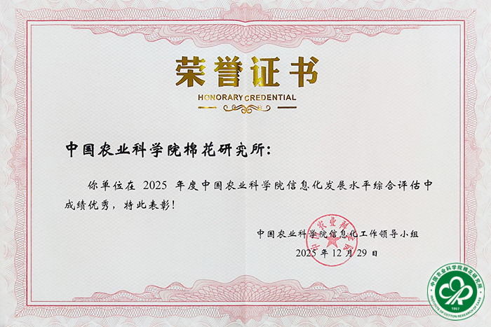 证书xiu.jpg