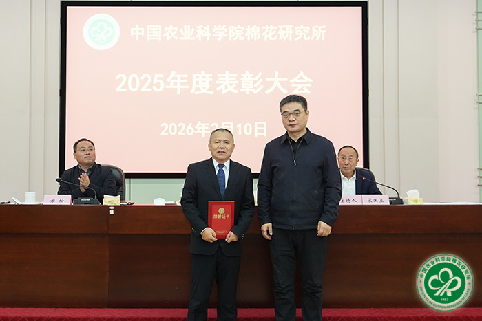 颁发荣誉证书.jpg