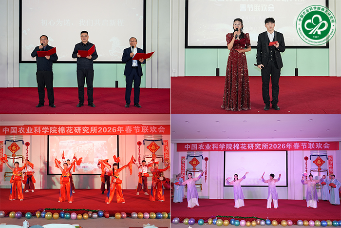 拼图1xiu.jpg