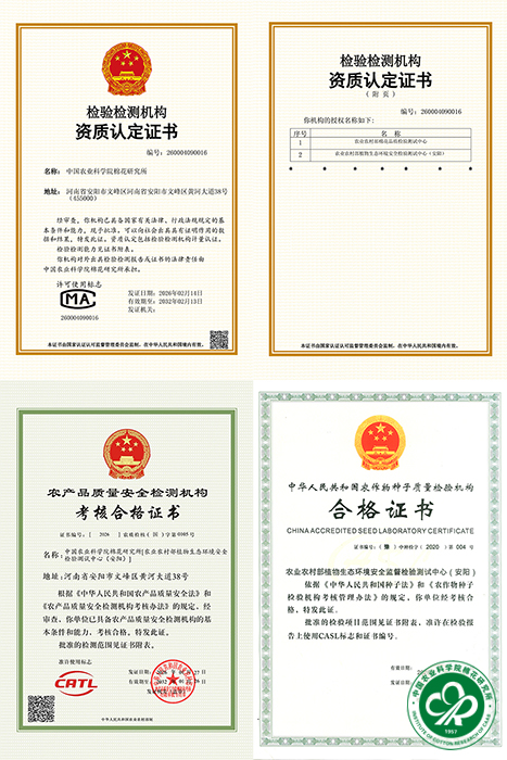 pingtu xiu.jpg