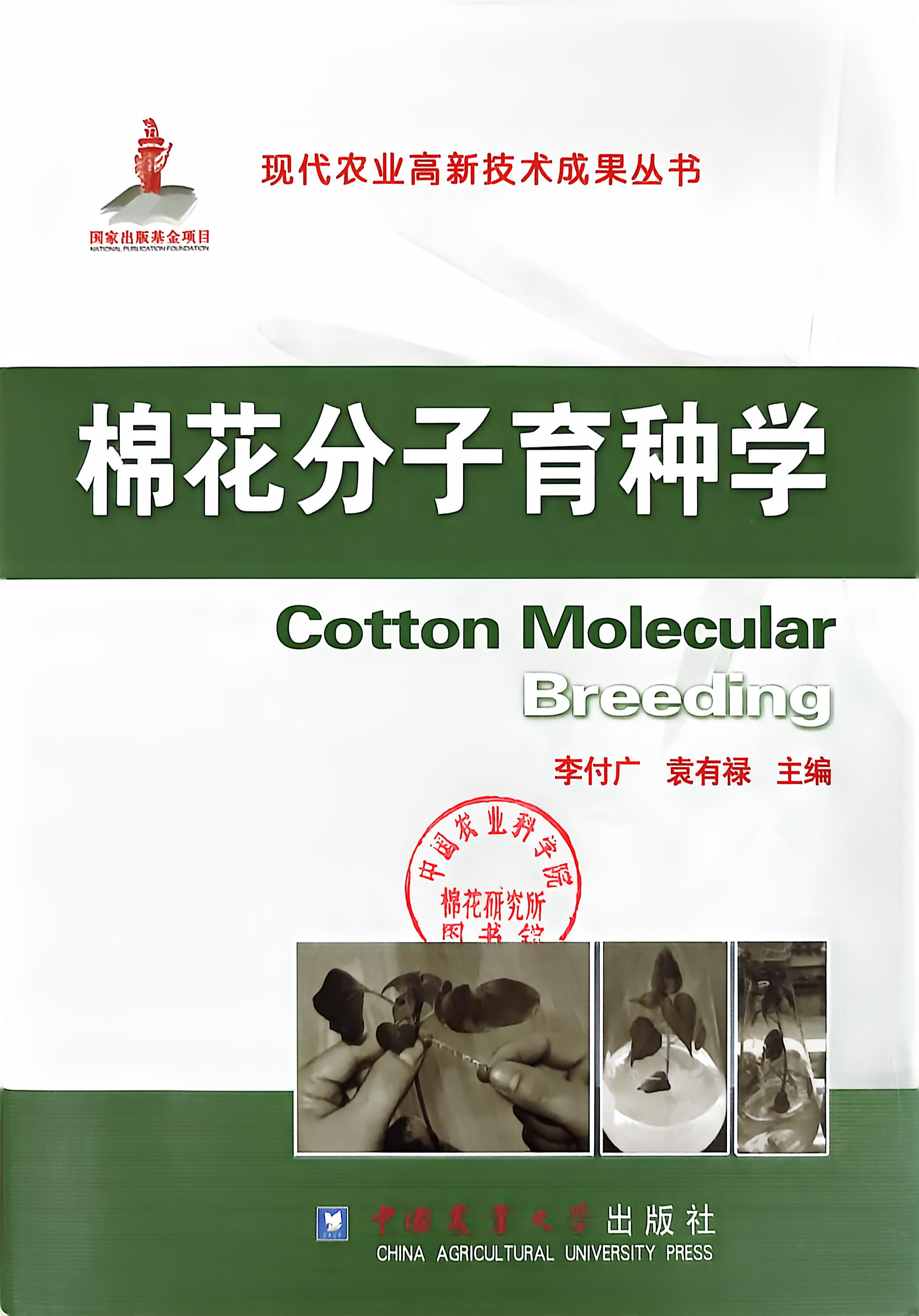 201305 棉花分子育种学（现代农业高新技术成果丛书） 档号：TS407 1.jpg